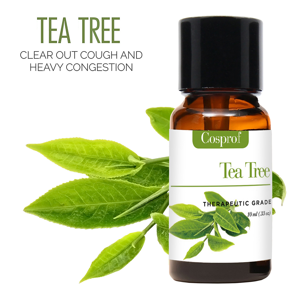 Tinh dầu trà xanh 10ml